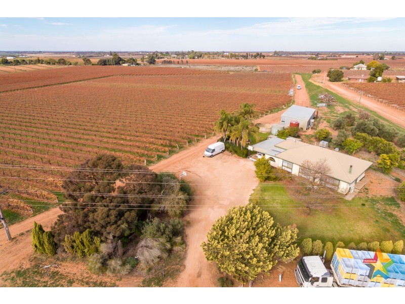 220 Stewart Road, Red Cliffs VIC 3496