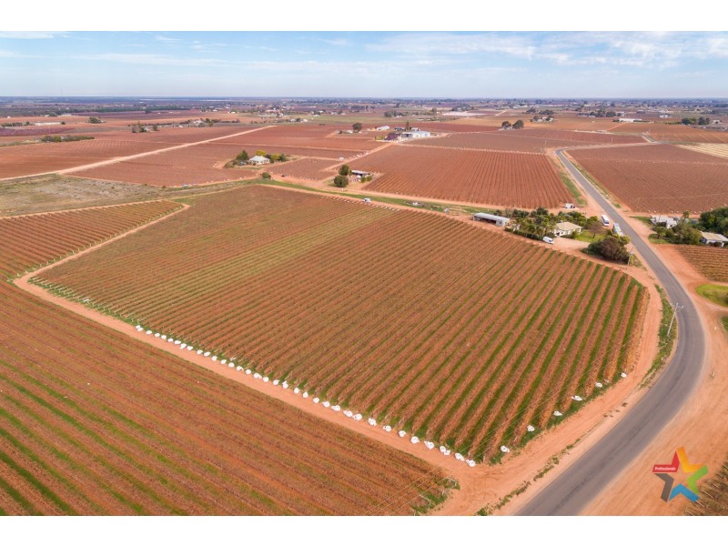 220 Stewart Road, Red Cliffs VIC 3496