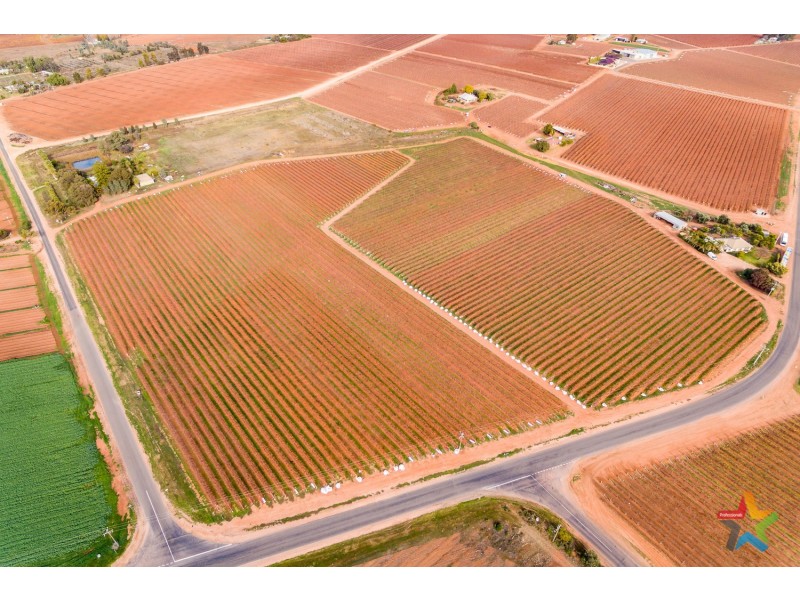 220 Stewart Road, Red Cliffs VIC 3496