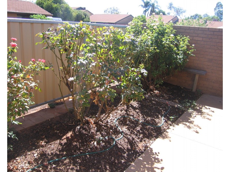 17 Hibiscus Court, Mildura VIC 3500