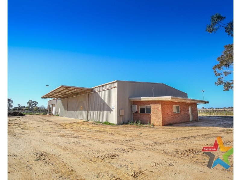 241 Ginquam Avenue, Irymple VIC 3498