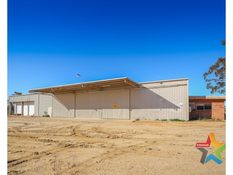 241 Ginquam Avenue, Irymple VIC 3498