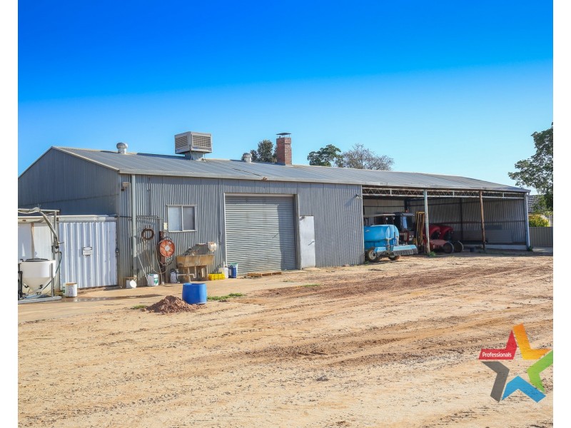 241 Ginquam Avenue, Irymple VIC 3498