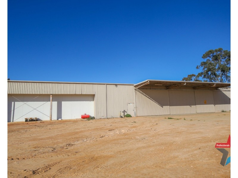 241 Ginquam Avenue, Irymple VIC 3498