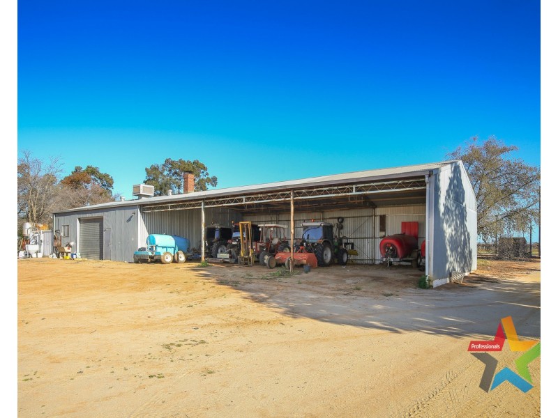 241 Ginquam Avenue, Irymple VIC 3498