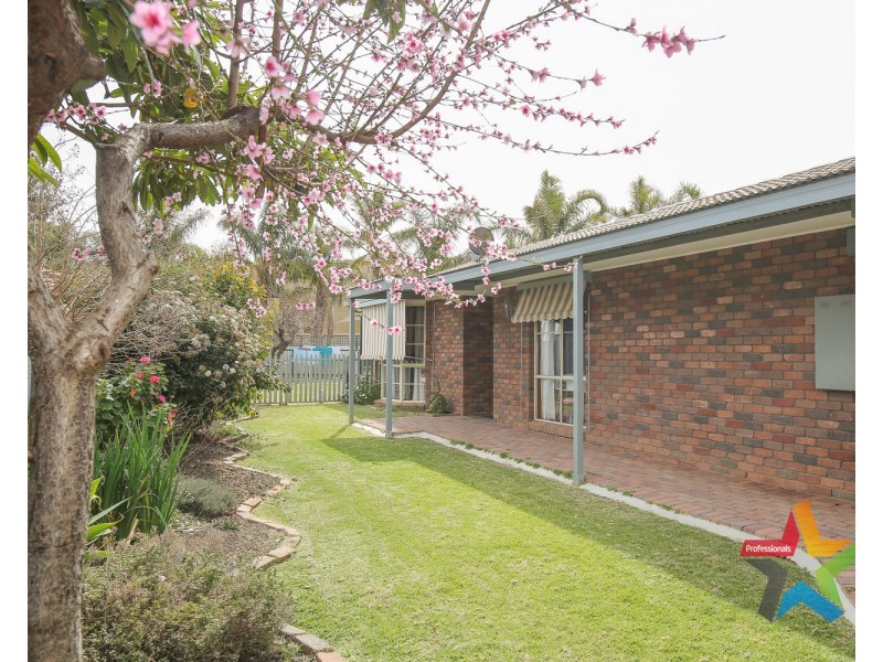 12 Homestead Court, Mildura VIC 3500
