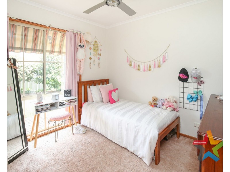 12 Homestead Court, Mildura VIC 3500