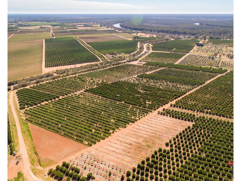 2940 Kulkyne Way, Colignan VIC 3494