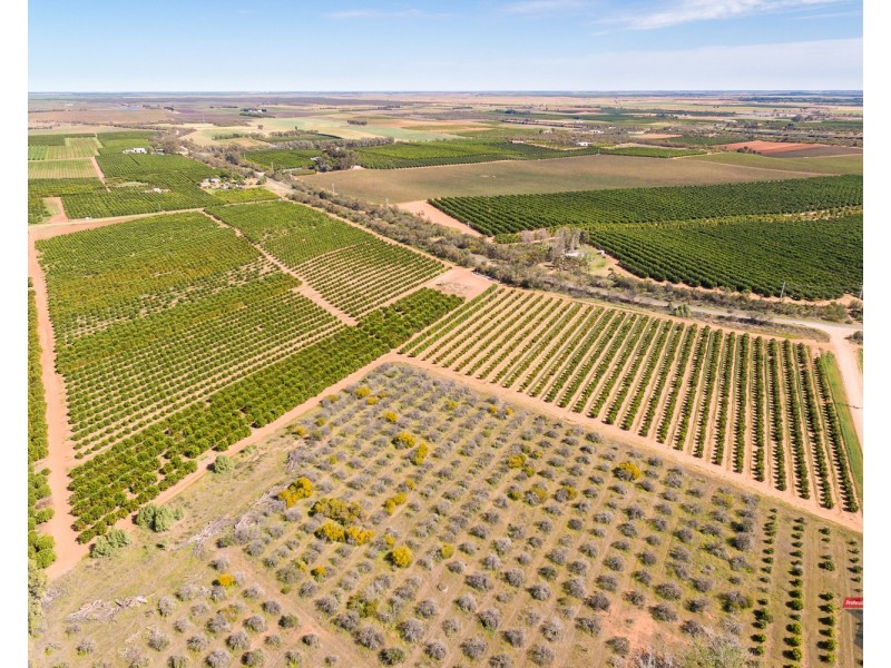 2940 Kulkyne Way, Colignan VIC 3494