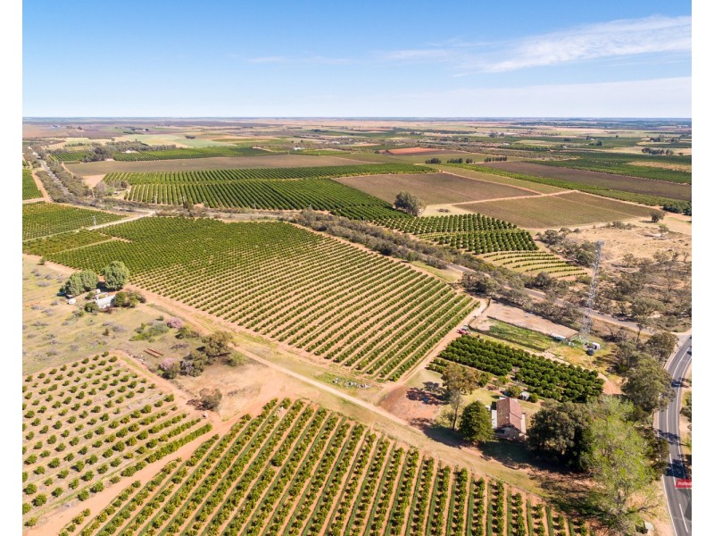 2940 Kulkyne Way, Colignan VIC 3494