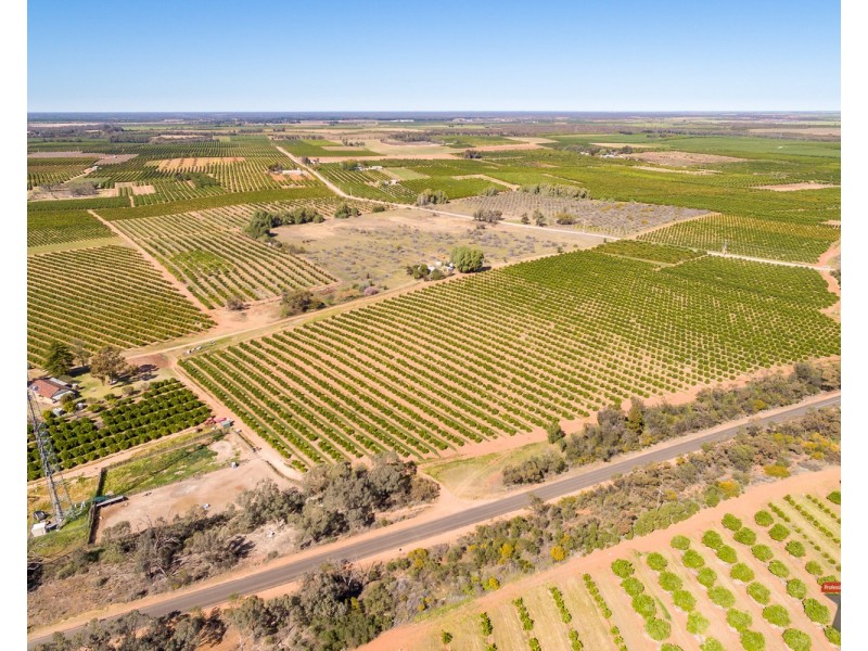 2940 Kulkyne Way, Colignan VIC 3494