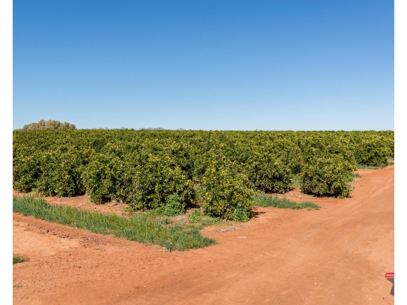 2940 Kulkyne Way, Colignan VIC 3494