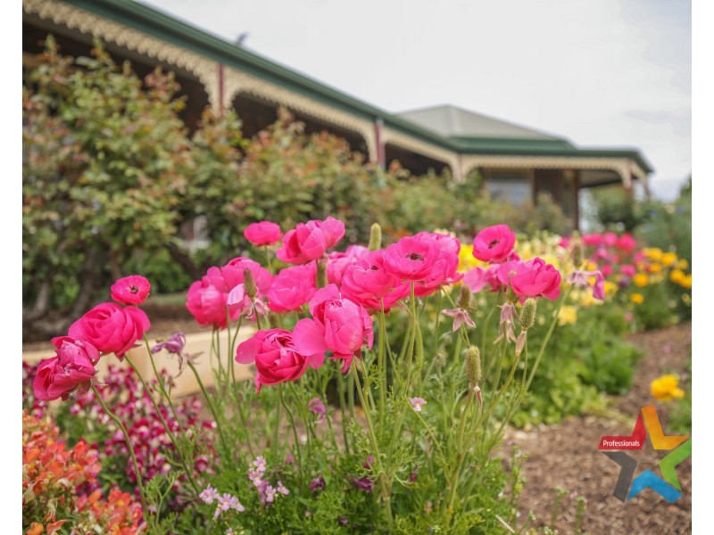 47 Morpung Avenue, Nichols Point VIC 3501