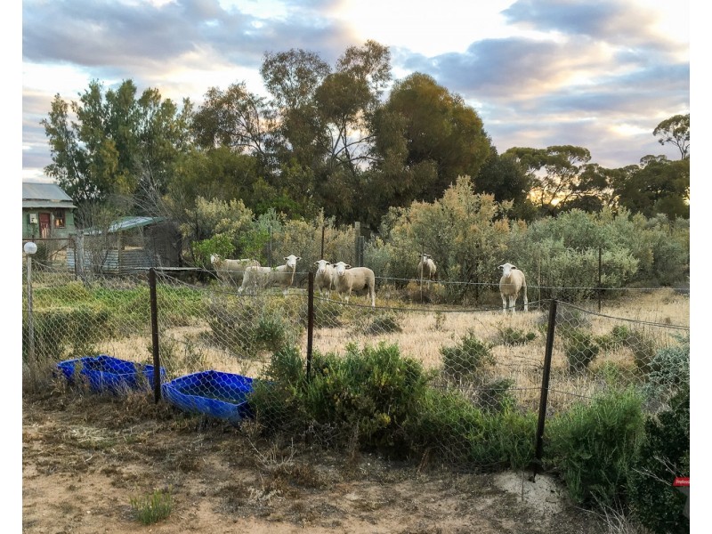 46 Church Road, Curlwaa NSW 2648