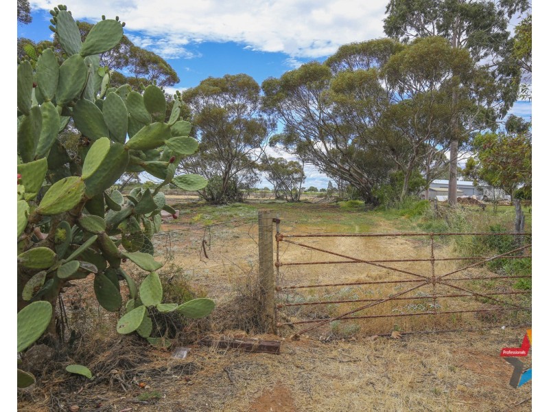 2695 – 2697 Fourteenth Street, Irymple VIC 3498