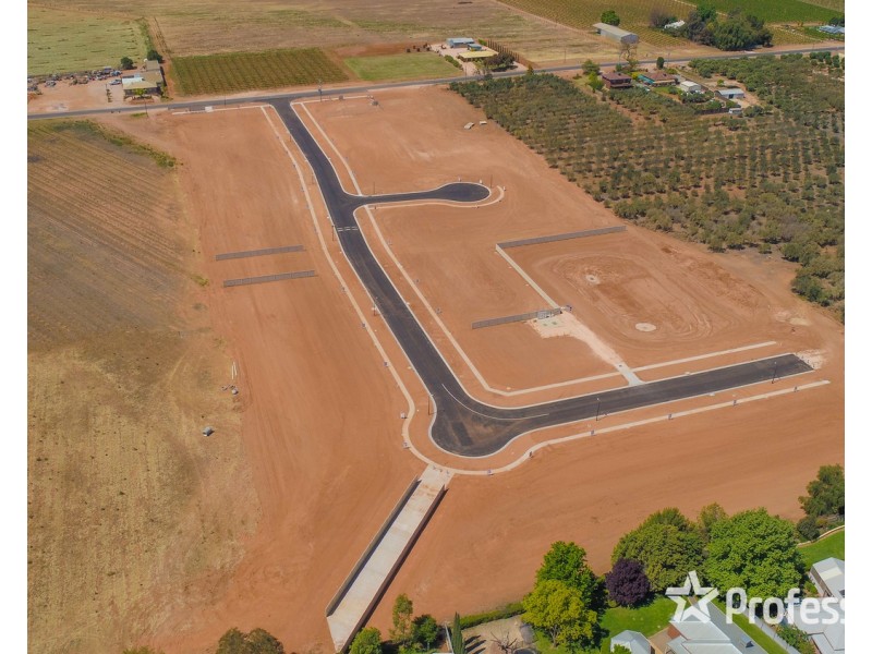 739 Irymple Avenue, Irymple VIC 3498