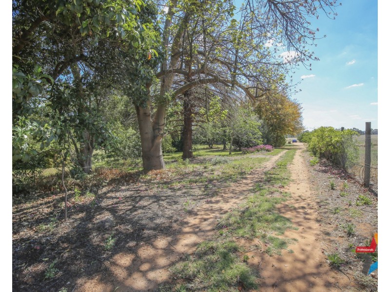 86 Bonnie Doon Road, Monak NSW 2738