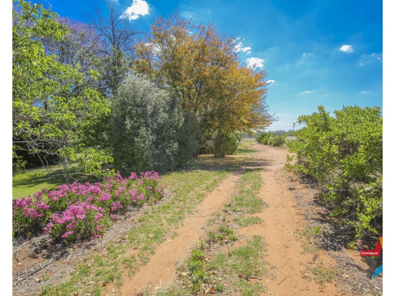 86 Bonnie Doon Road, Monak NSW 2738