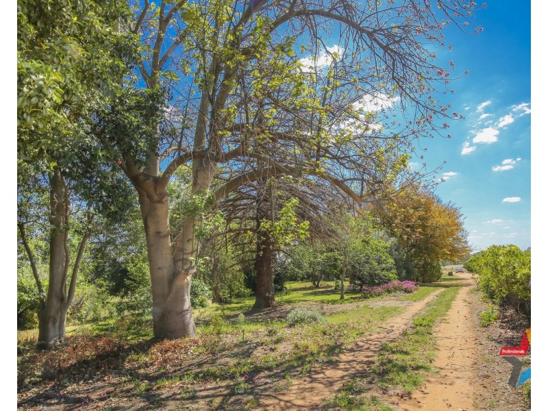 86 Bonnie Doon Road, Monak NSW 2738