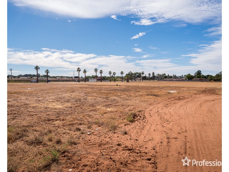 782 Sandilong Avenue, Irymple VIC 3498