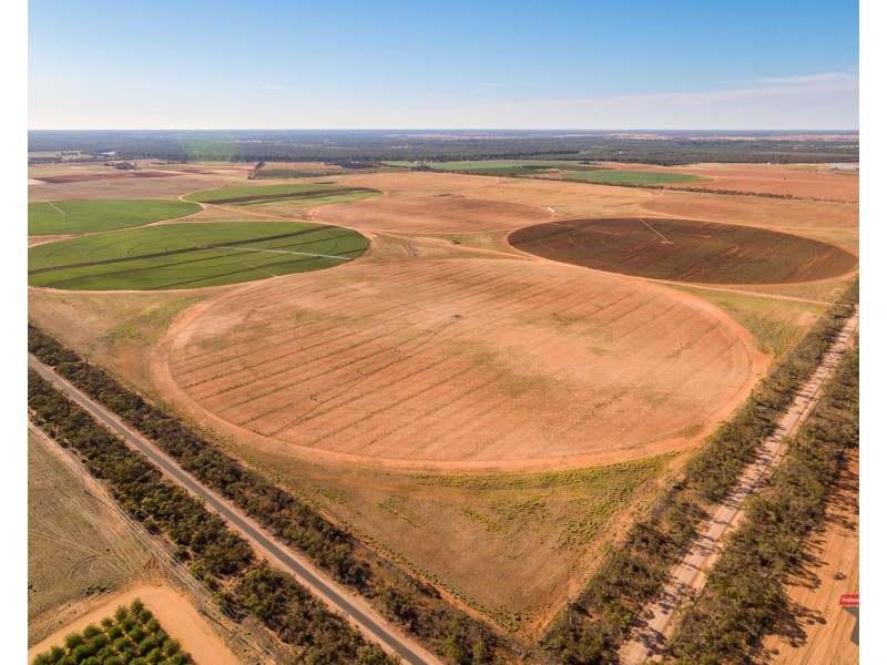 4240 Hattah Robinvale Road, Wemen VIC 3549