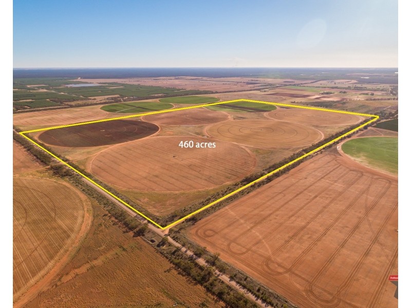 4240 Hattah Robinvale Road, Wemen VIC 3549
