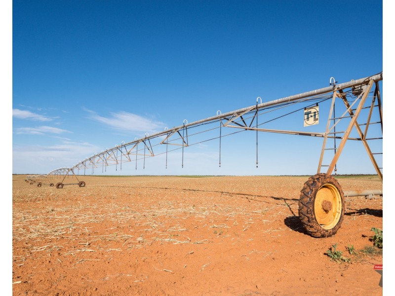 4240 Hattah Robinvale Road, Wemen VIC 3549