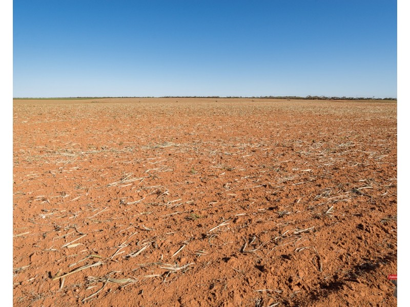 4240 Hattah Robinvale Road, Wemen VIC 3549