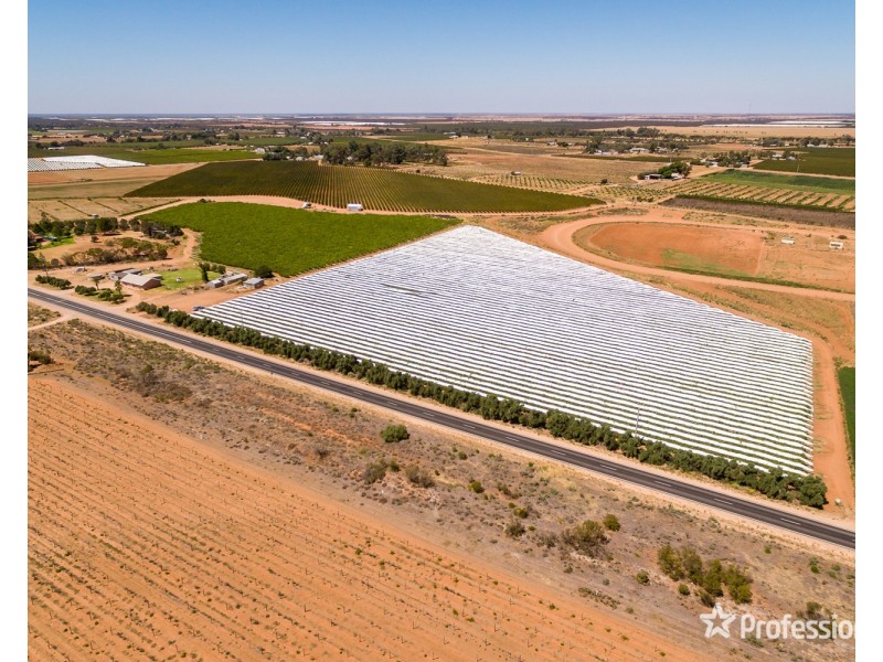 301 Millewa Road, Red Cliffs VIC 3496