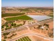 301 Millewa Road, Red Cliffs VIC 3496