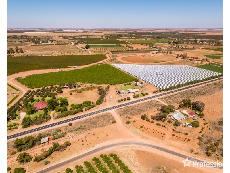301 Millewa Road, Red Cliffs VIC 3496
