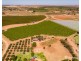 301 Millewa Road, Red Cliffs VIC 3496