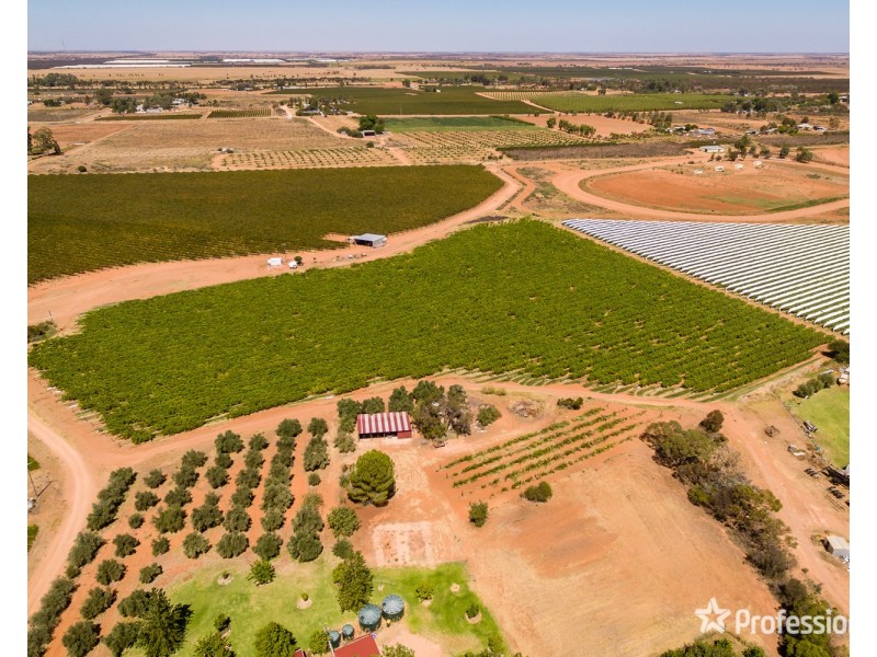 301 Millewa Road, Red Cliffs VIC 3496