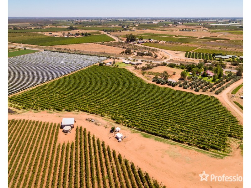 301 Millewa Road, Red Cliffs VIC 3496