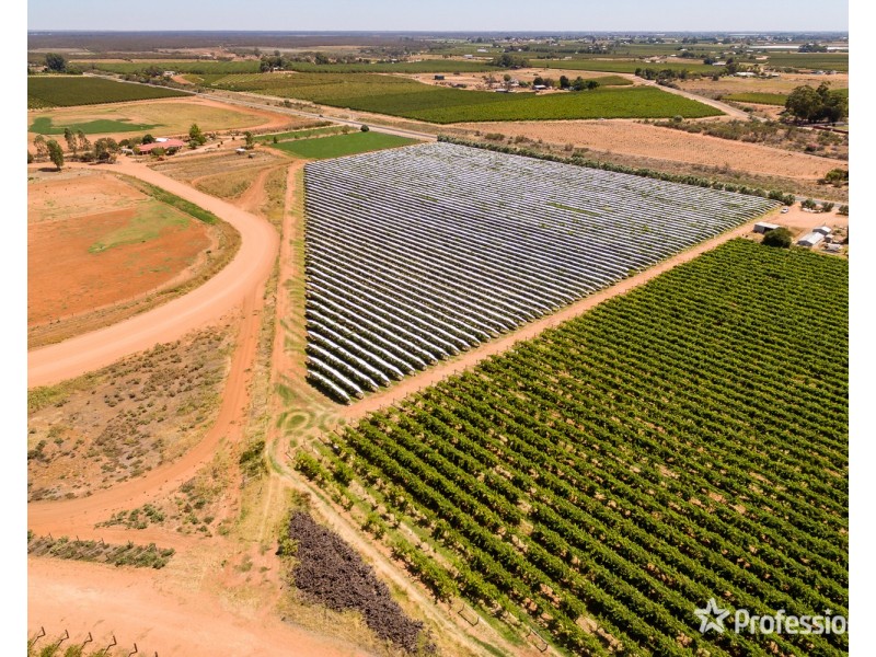 301 Millewa Road, Red Cliffs VIC 3496