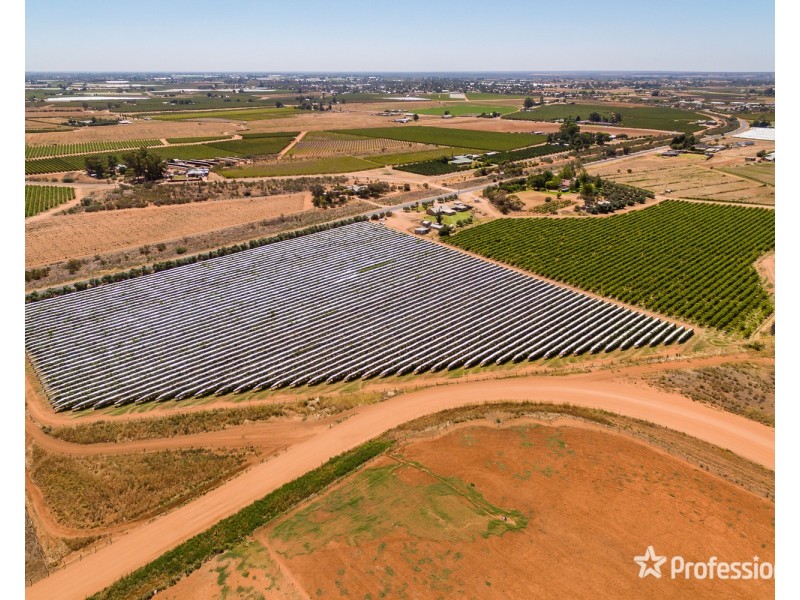 301 Millewa Road, Red Cliffs VIC 3496
