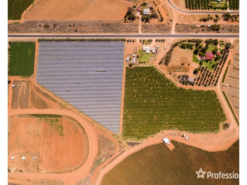 301 Millewa Road, Red Cliffs VIC 3496
