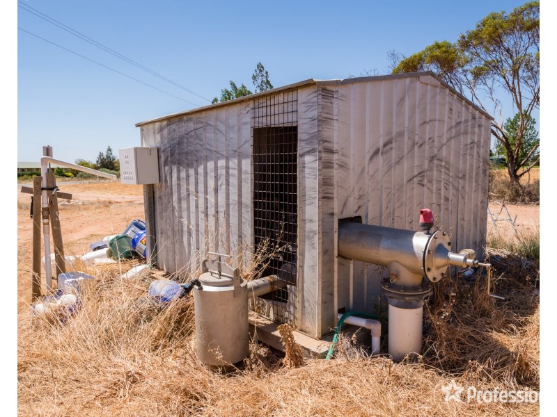 301 Millewa Road, Red Cliffs VIC 3496