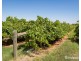 301 Millewa Road, Red Cliffs VIC 3496