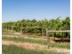 301 Millewa Road, Red Cliffs VIC 3496