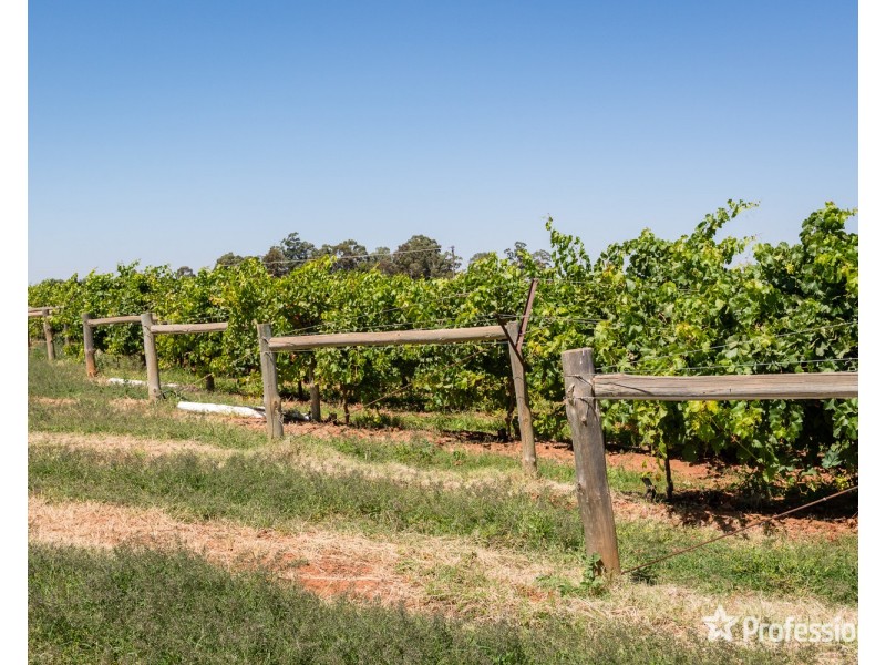 301 Millewa Road, Red Cliffs VIC 3496