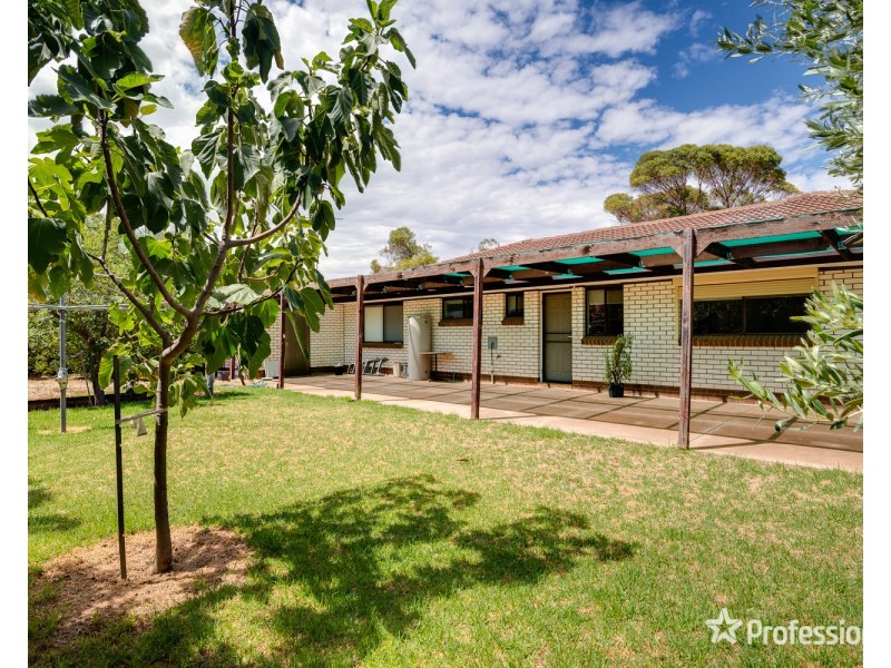 1 Miller Avenue, Mildura VIC 3500
