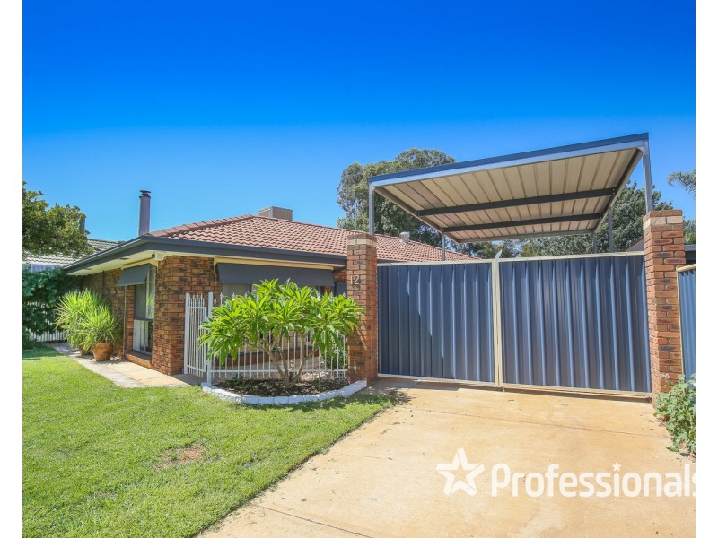 12 Flamingo Drive, Mildura VIC 3500