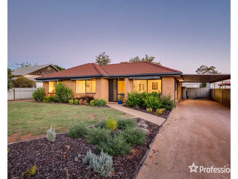 40 Armstrong Avenue, Wentworth NSW 2648