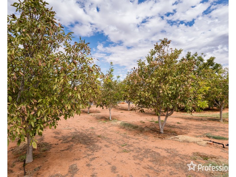 319 Westcliffs Avenue, Cardross VIC 3496