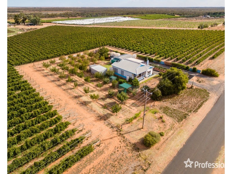 319 Westcliffs Avenue, Cardross VIC 3496