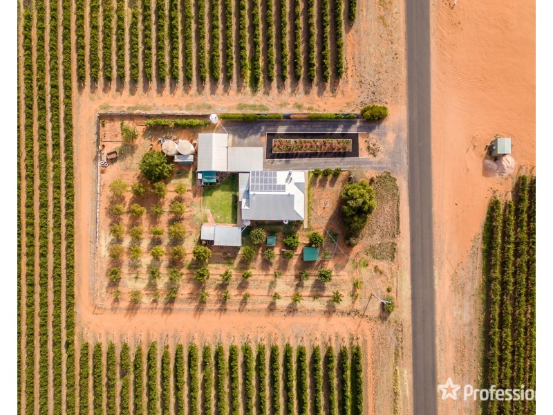 319 Westcliffs Avenue, Cardross VIC 3496