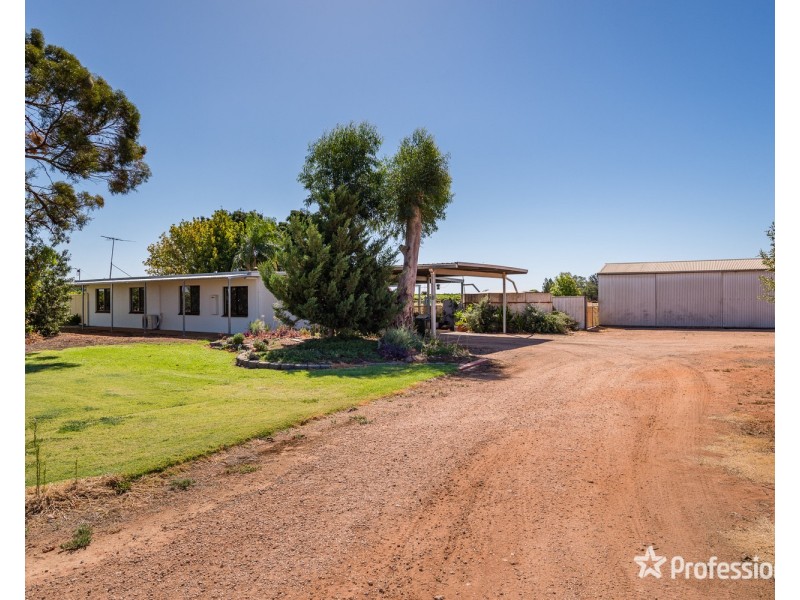 18 Twenty Second Street, Irymple VIC 3498