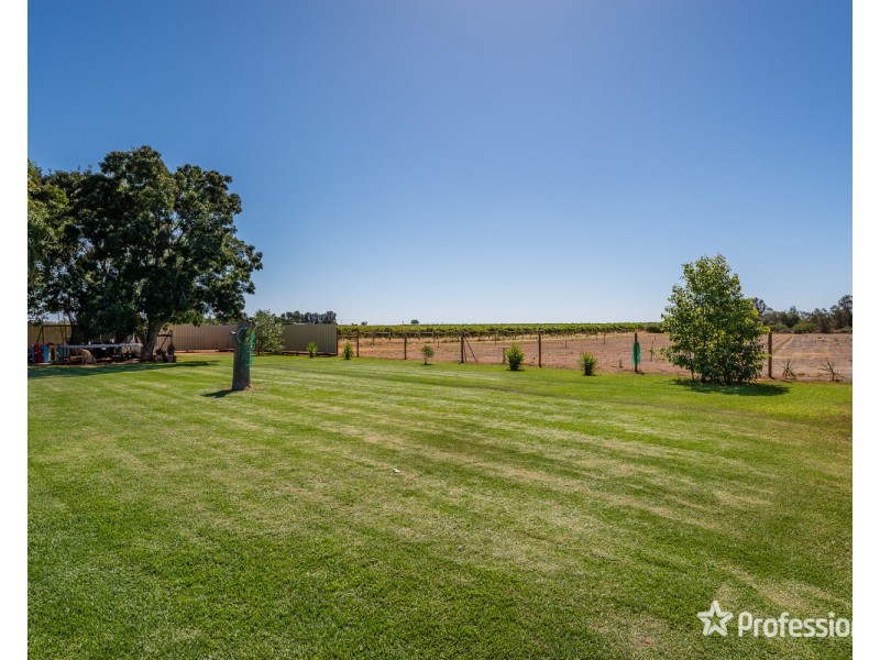 18 Twenty Second Street, Irymple VIC 3498