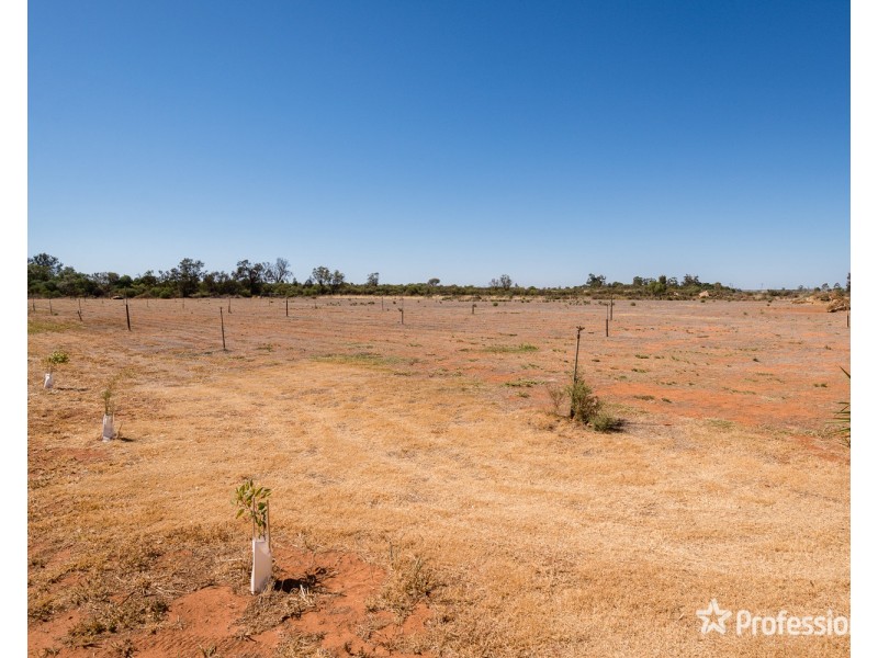 18 Twenty Second Street, Irymple VIC 3498